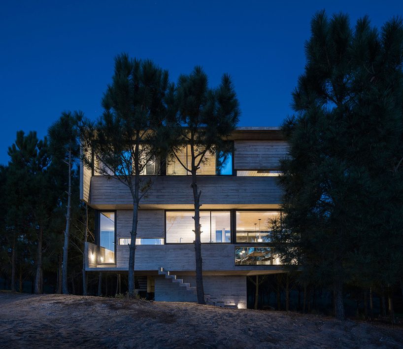 luciano kruk stacks concrete volumes to build a 'house in the trees' in buenos aires designboom
