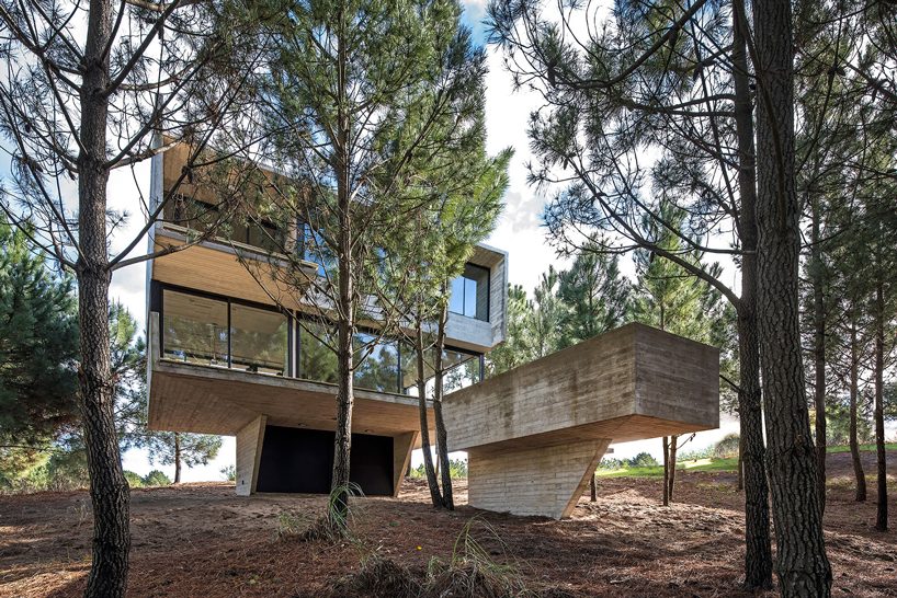 luciano kruk stacks concrete volumes to build a 'house in the trees' in buenos aires designboom