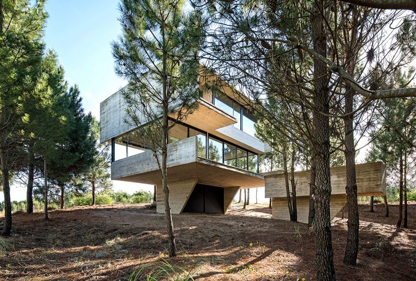 luciano kruk stacks concrete volumes to build a 'house in the trees' in buenos aires designboom