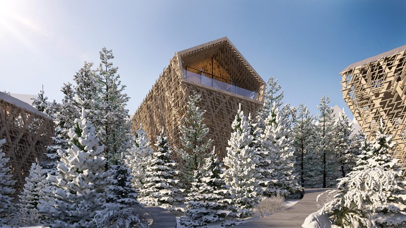 peter pichler designs luxury 'tree suites' elevated within an austrian forest designboom
