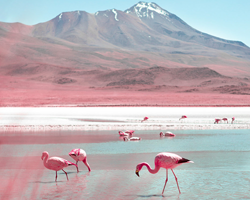 paolo pettigiani's infrared photography captures bolivia in all pink