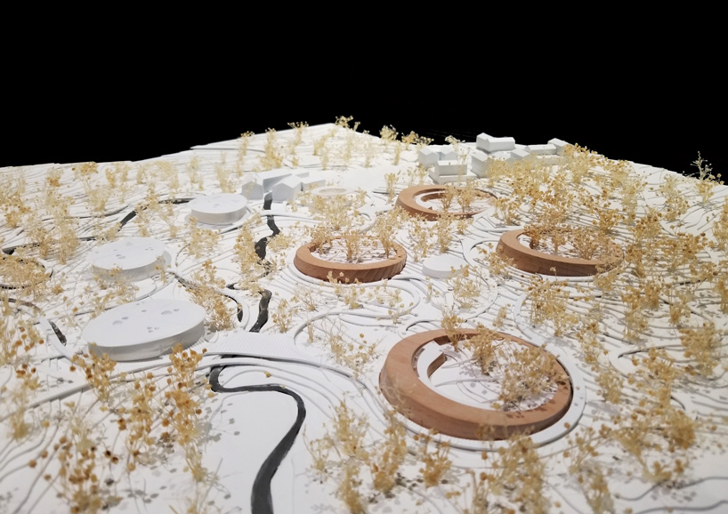 EID architecture designs four 'panda pavilions' for chengdu research and breeding center designboom