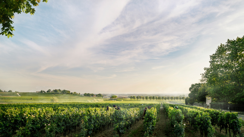 foster + partners plans domed winery that blends with bordeaux's rolling landscape - 2