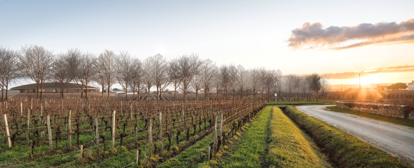 foster + partners plans domed winery that blends with bordeaux's rolling landscape - 3