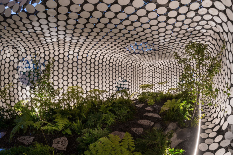 gerardo broissin egaligilo