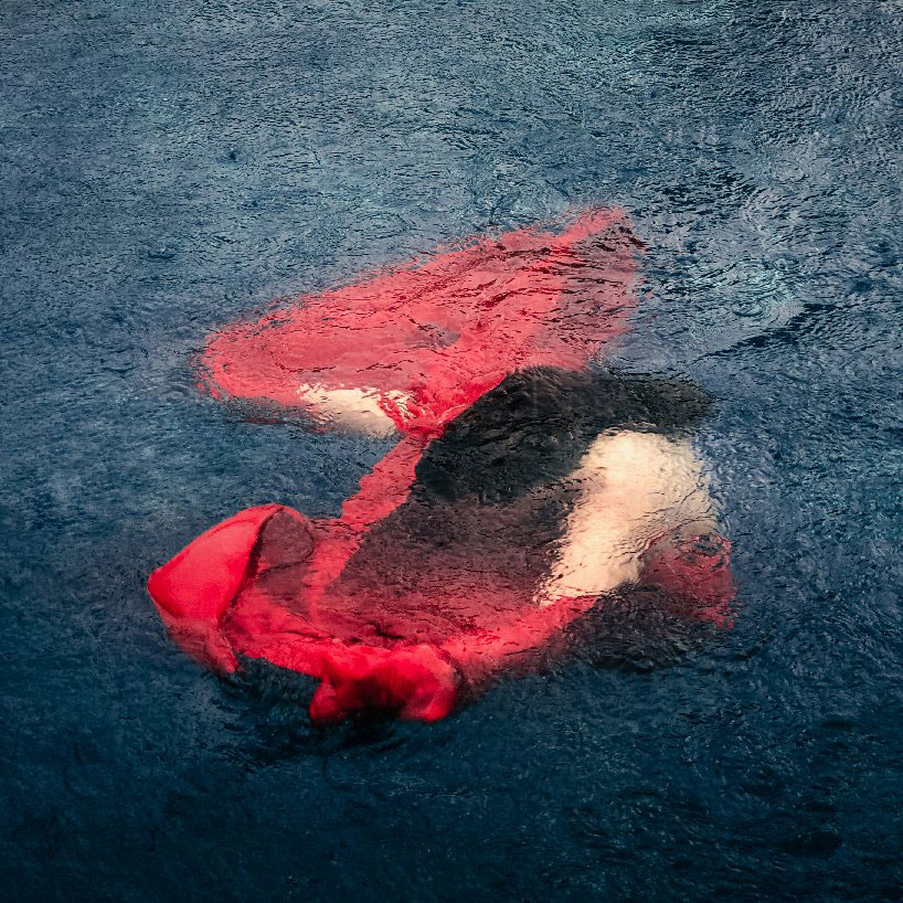 TOP 10 reader submissions of 2019 - photography to change perspectives designboom