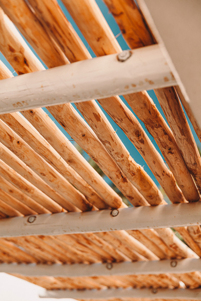 amelia tavella's casa santa teresa celebrates nature on the island of corisca designboom