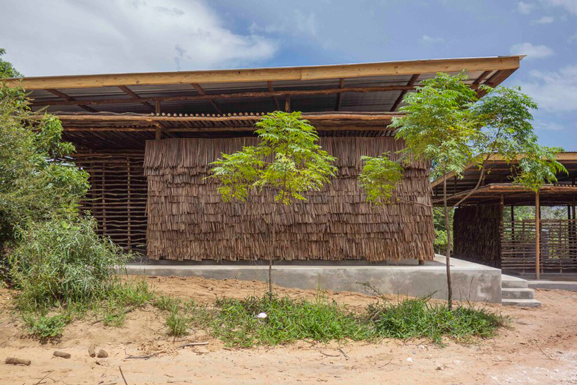 eco moyo education center in kenya adds two new classrooms clad in dried coconut leaves
