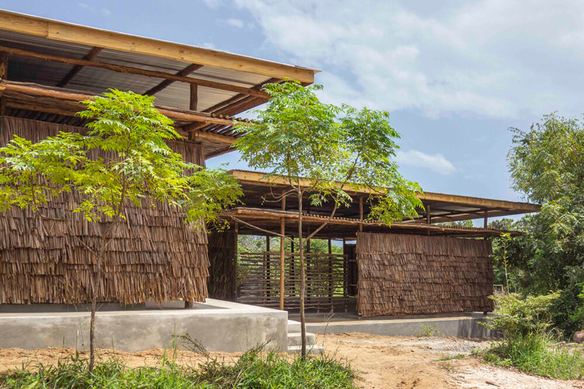 eco moyo education center in kenya adds two new classrooms clad in dried coconut leaves