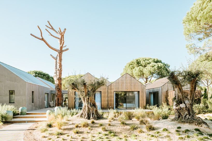 coolvintage sublime comporta