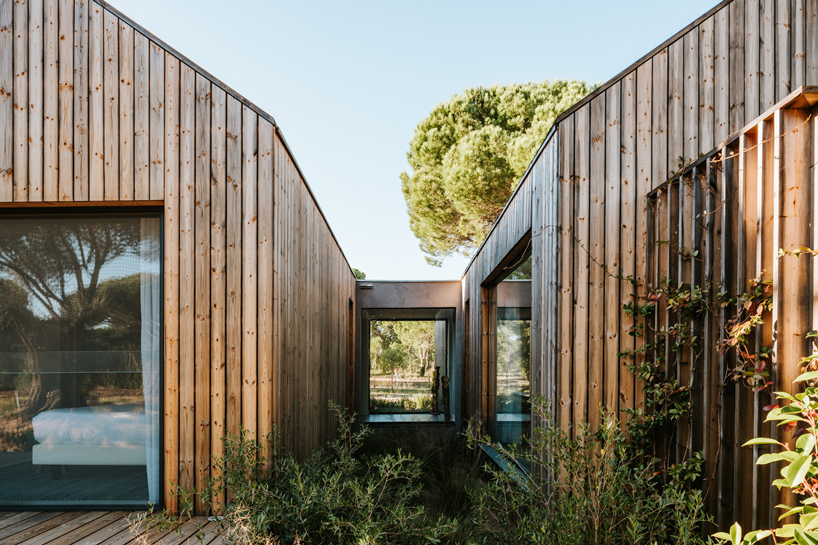 coolvintage sublime comporta