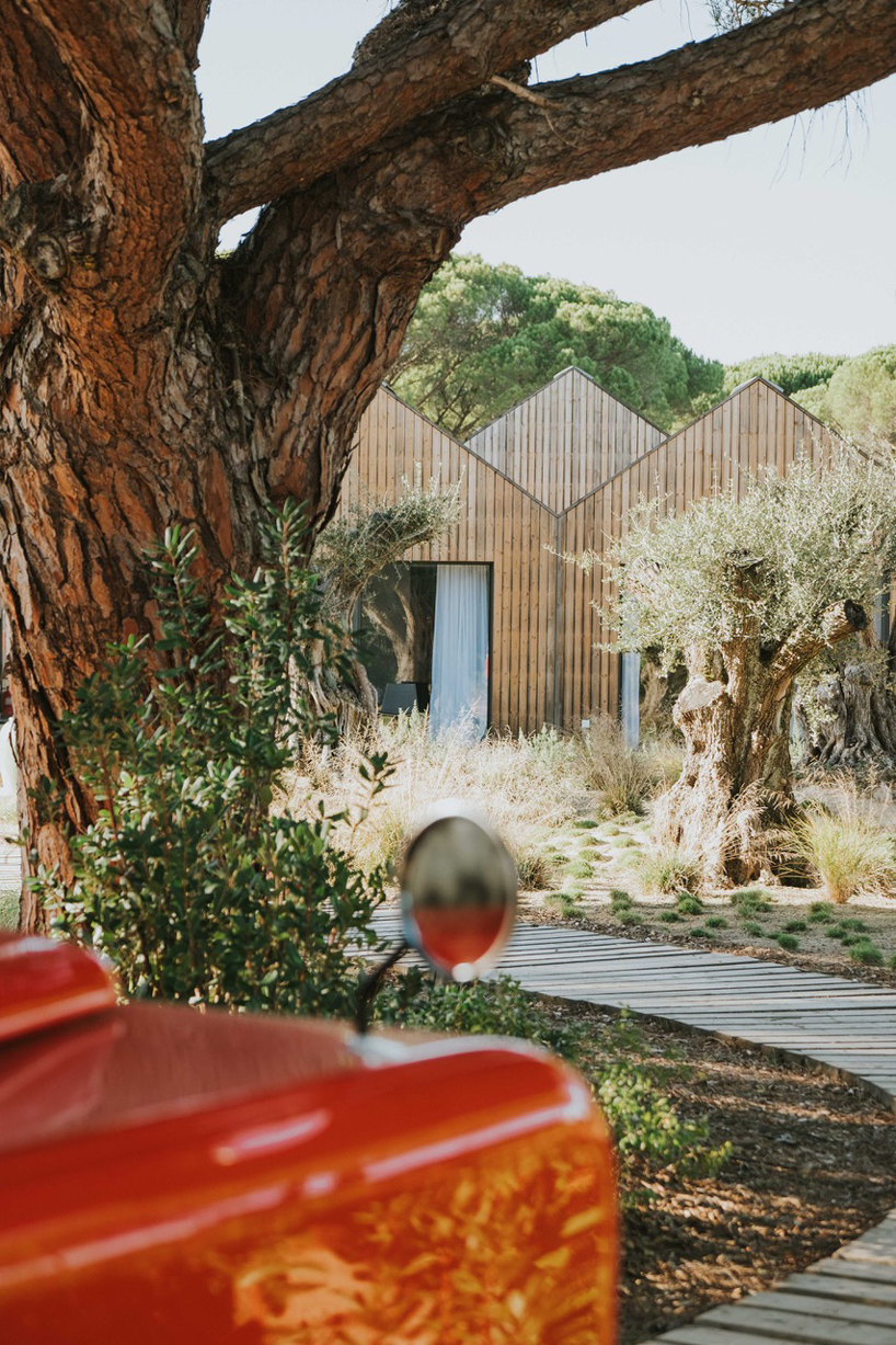 coolvintage sublime comporta