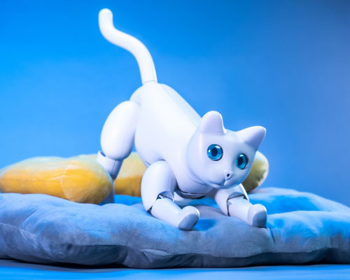 the marscat home bot is the world's first bionic robotic cat
