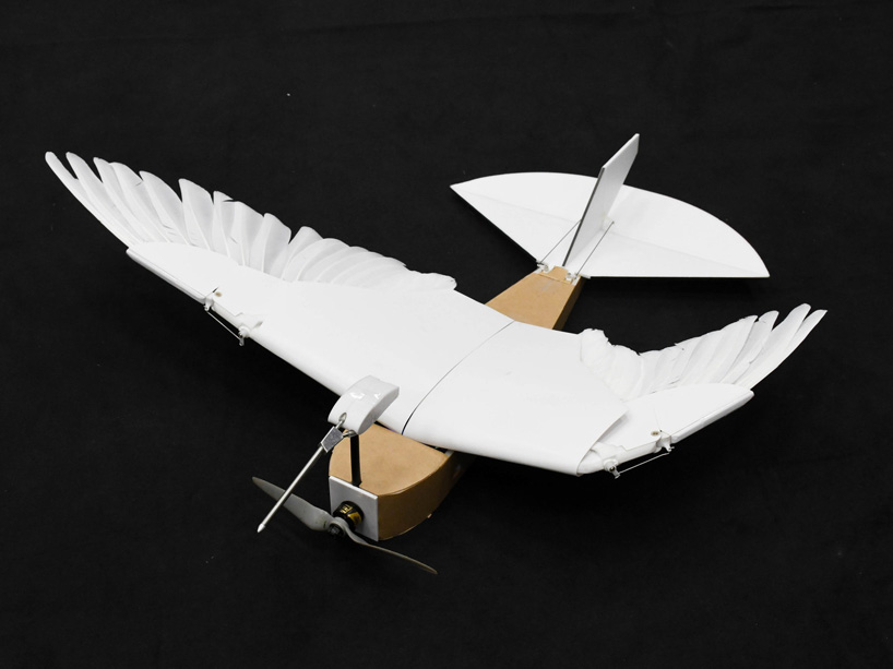 a robot bird built using 40 pigeon feathers like the real thing