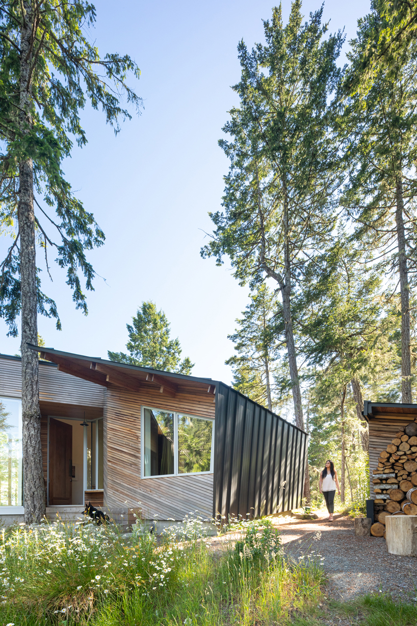 campos studio embeds the sooke house within the forest of a rocky hill in canada - 6
