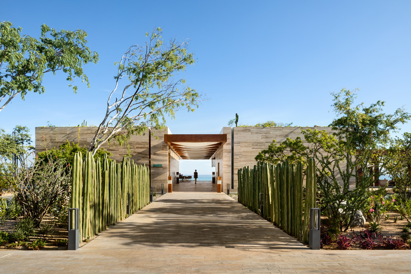 sordo madaleno arquitectos designs zigzagging solaz los cabos hotel in mexico