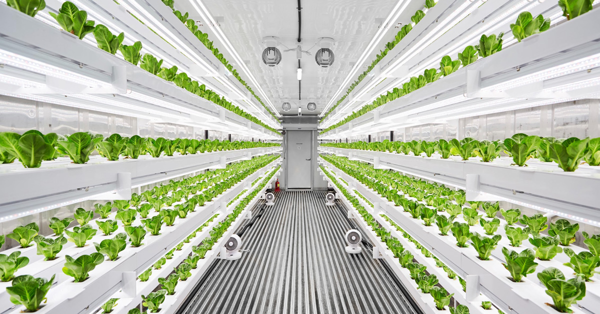 the planty cube is a vertical farming system assembled like LEGO bricks