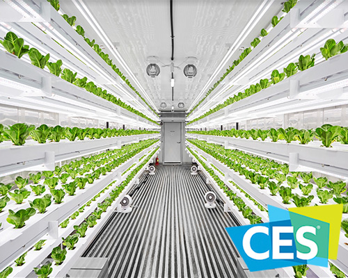 the planty cube is a vertical farming system assembled like LEGO bricks