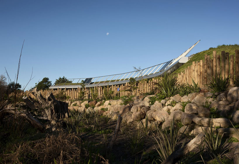 CASA builds a ‘womb-like' early learning center for a maori tribe in new zealand designboom