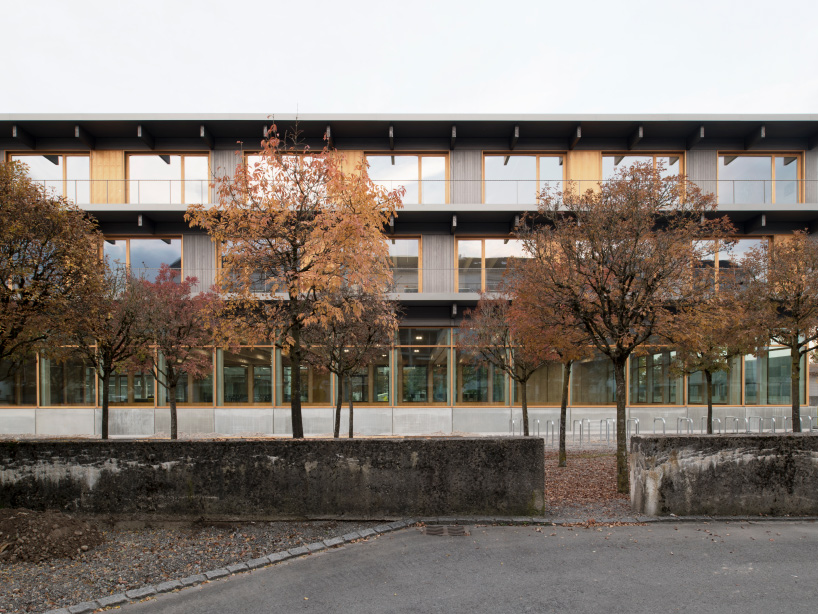 interview jeannette kuo