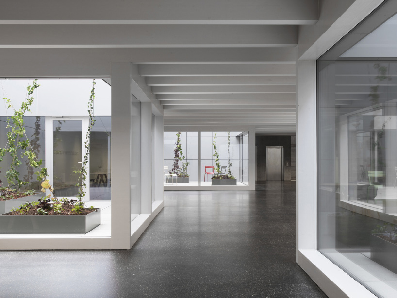 interview jeannette kuo