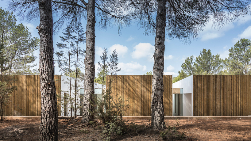 marià castelló ibiza