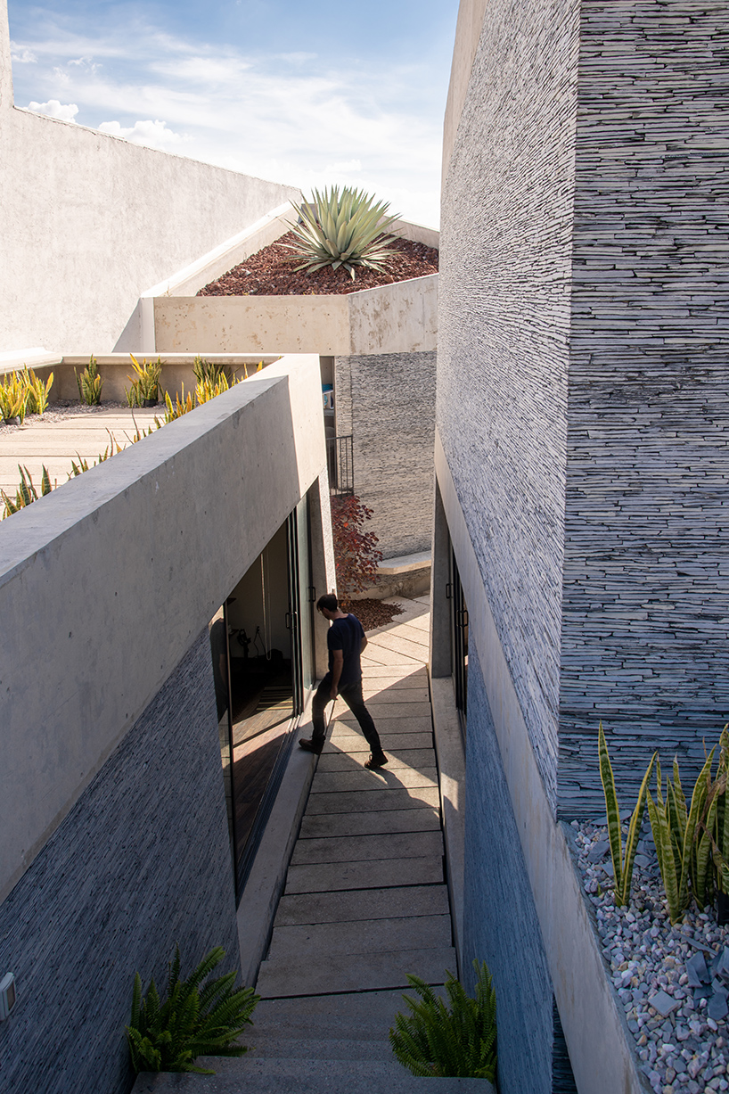 amanali rojkind arquitectos