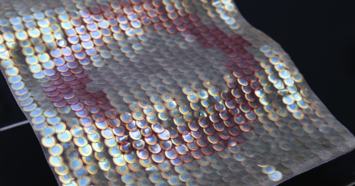in bio iridescent sequin, elissa brunato has found a way to create colorful...