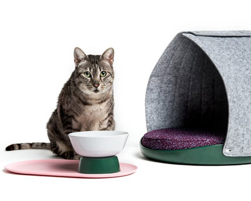 LAYER and cat person present a modern lifestyle collection for cats