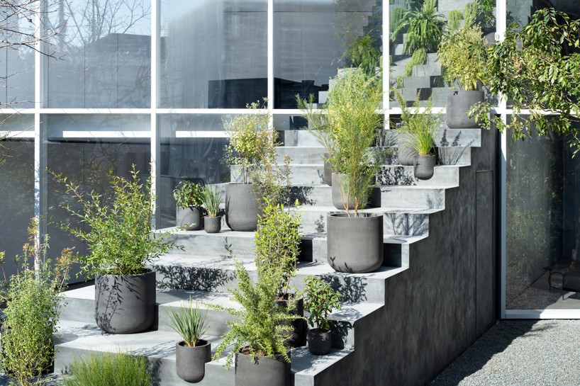 nendo's stairway house leads into a light, plant-filled interior in tokyo designboom