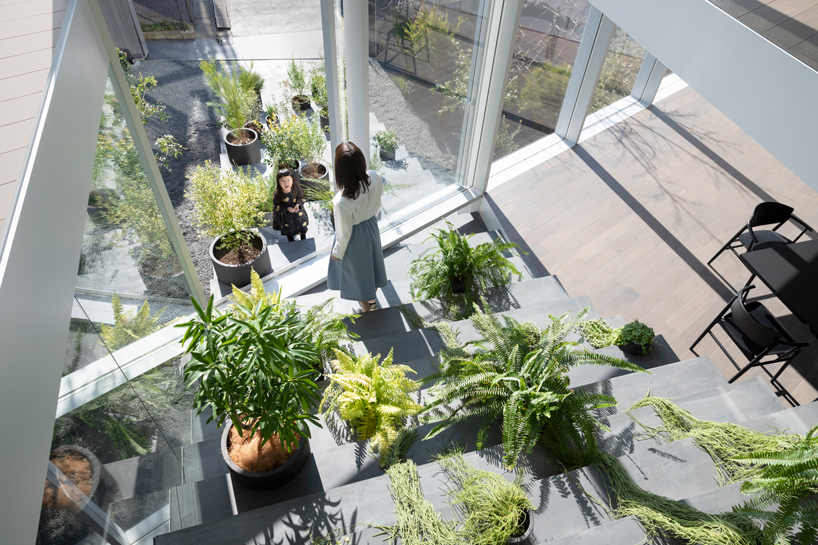 nendo's stairway house leads into a light, plant-filled interior in tokyo designboom