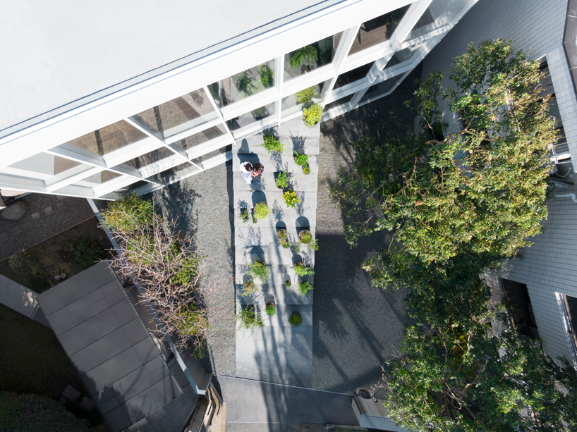nendo's stairway house leads into a light, plant-filled interior in tokyo - 5