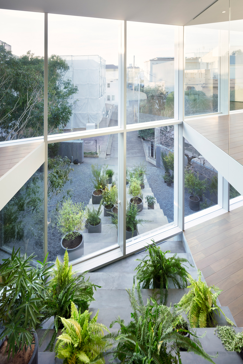 nendo's stairway house leads into a light, plant-filled interior in tokyo - 4