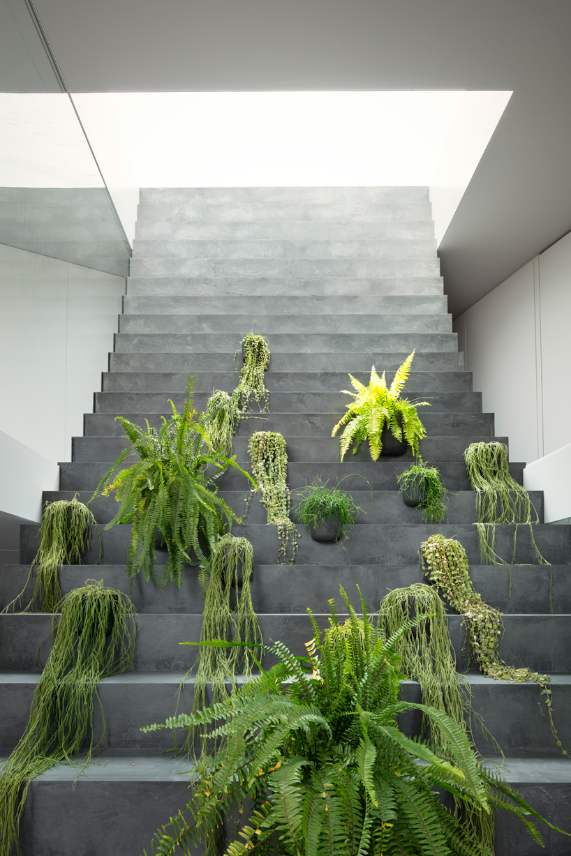nendo's stairway house leads into a light, plant-filled interior in tokyo designboom