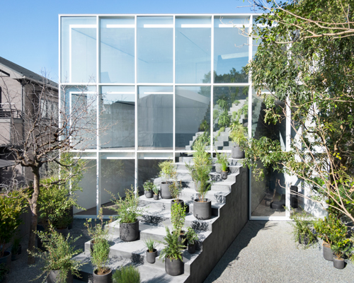nendo's stairway house leads into a light, plant-filled interior in tokyo
