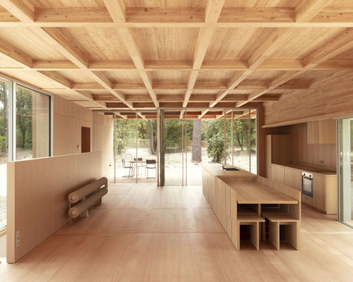 nicolas dahan constructs wooden family house within pine forest in southwestern france