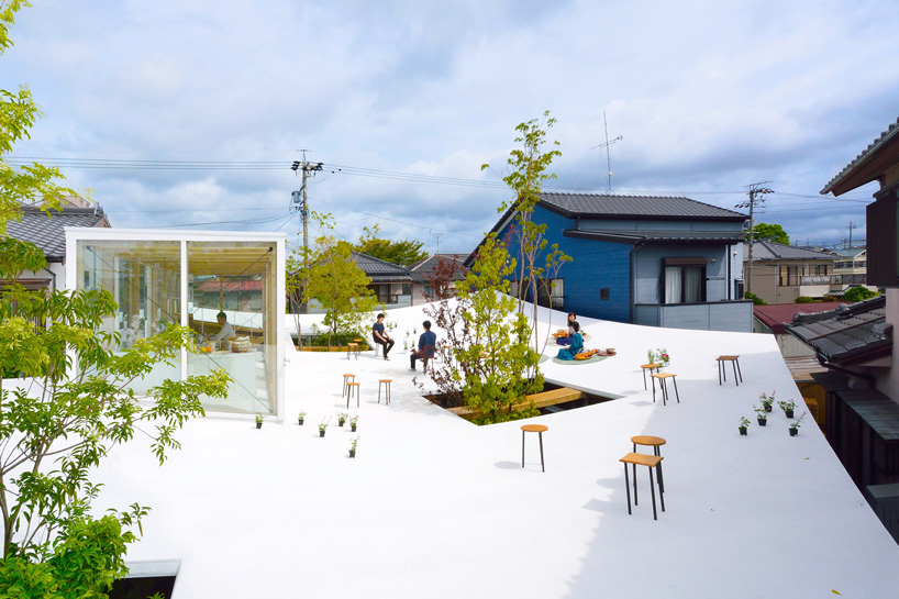 studio velocity tops wooden office in japan with curved inhabitable roof