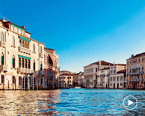 dolphins return to italian port and venice canals run clear as humans self-isolate