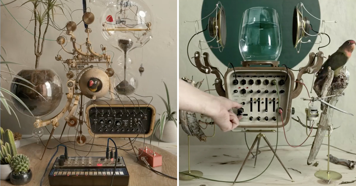 bichopalo sculpts complicated music machines using plants and other objects
