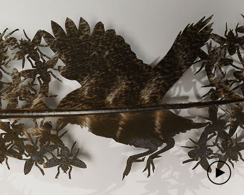 chris maynard carves real bird feathers into intricate artworks