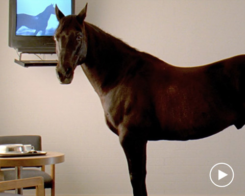 doug aitken shares a message of hope during coronavirus lockdown
