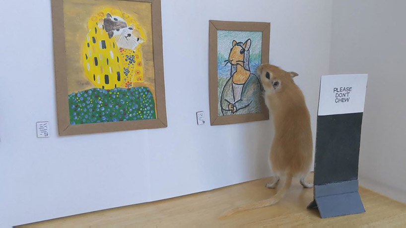 this tiny gerbil museum showcases famous rodent artworks from da vinci to van gogh - 1