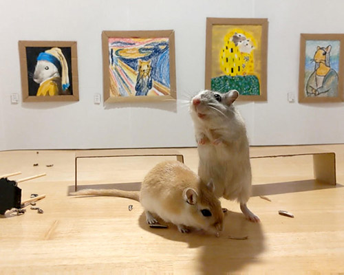 this tiny gerbil museum showcases famous rodent artworks from da vinci to van gogh
