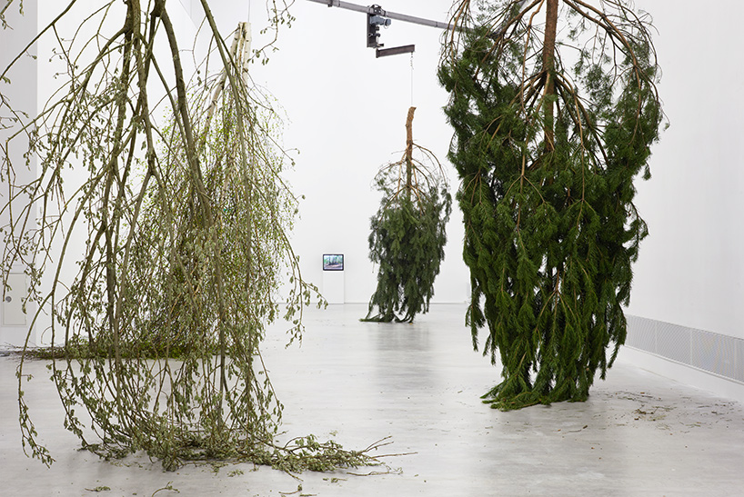 artist michael sailstorfer on temporality, transformation and transience - 4