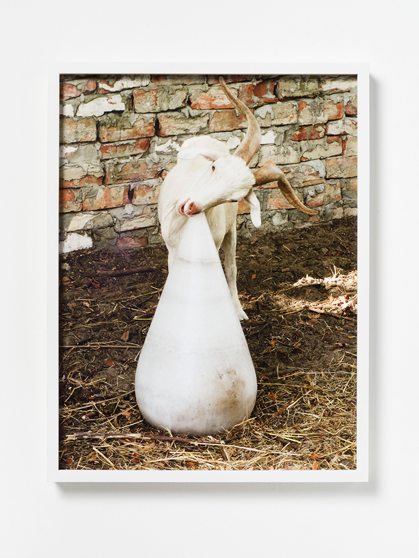artist michael sailstorfer on temporality, transformation and transience - 10