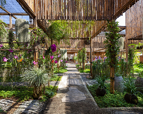 studio miti uses bamboo to build colorful 'orchid farm' in thailand
