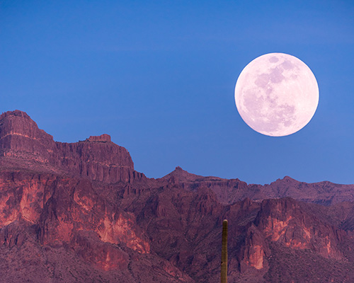 tonight, a pink supermoon—the biggest of the year—will light up the sky