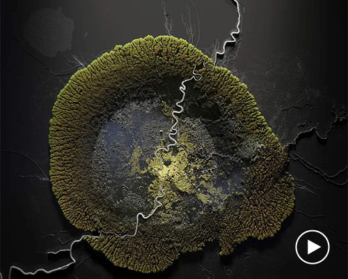 quatre caps compares today's cities to parasites with 'the nice host'