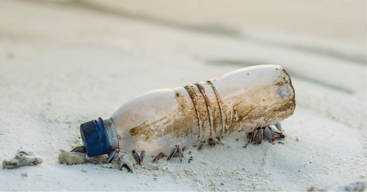 scientists create enzyme that breaks down plastic to raw materials