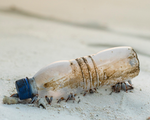 scientists create enzyme that breaks down plastic to raw materials